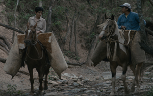 Los Dueños 3