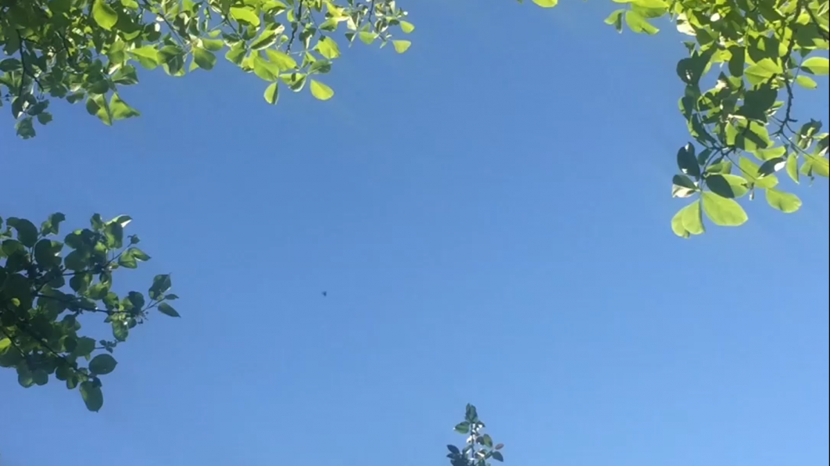 [Salgamos a pasear]