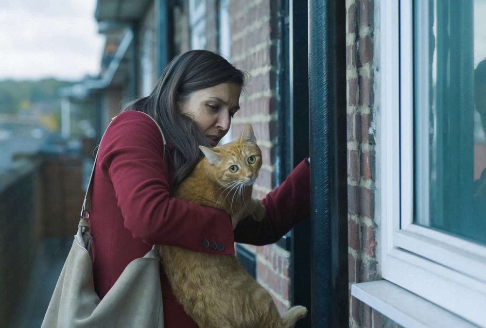 Cat in the Wall (Mina Mileva y Vesela Kazakova) – Festival ArteKino