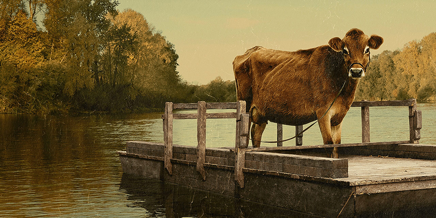 La vaca