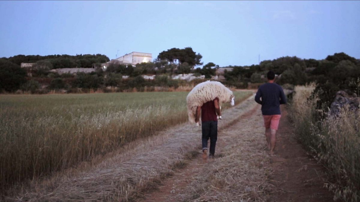 Festival de Ibiza – 6ª edición