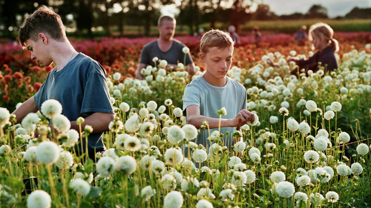 Close (Lukas Dhont). Cannes 2022 – Sección Oficial (A concurso)
