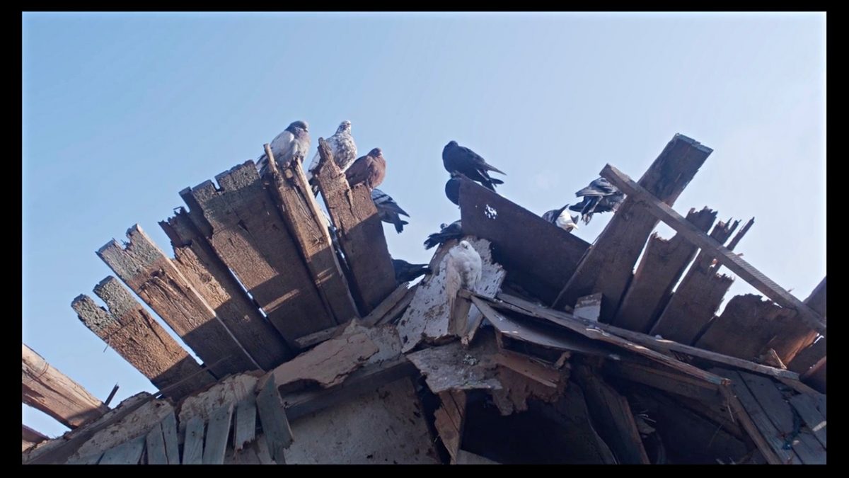 Mariupolis 2 (Mantas Kvedaravicius). Cannes 2022 – Proyecciones especiales