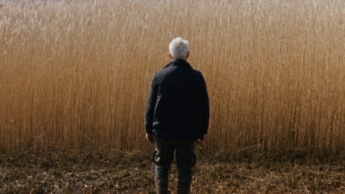 Rietland (Sven Bresser). Cannes 2025 – Semana de la Crítica